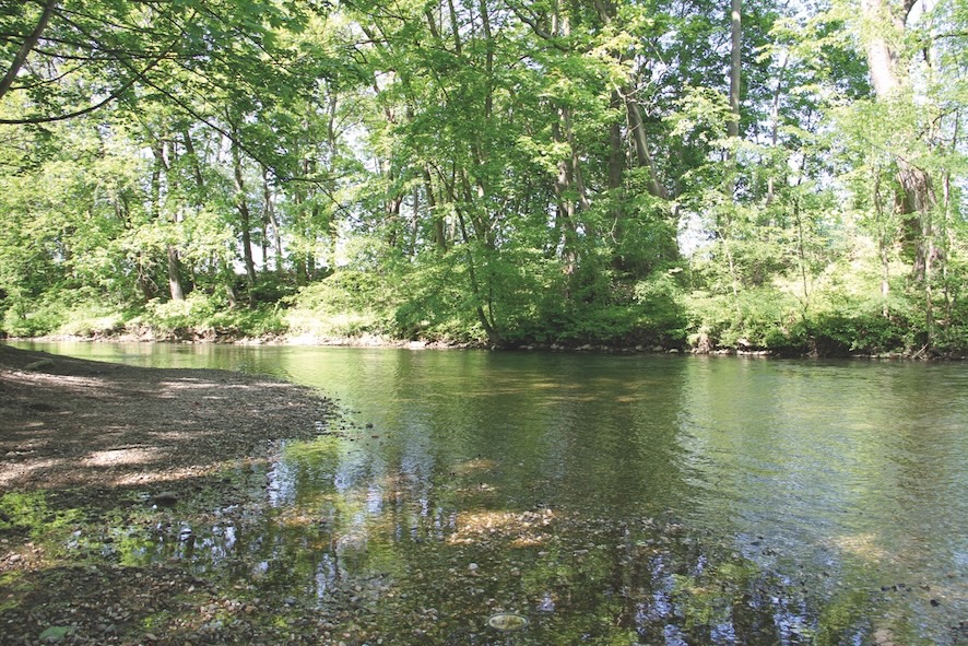 152cc769802bd6da37c373fcd52dc33c