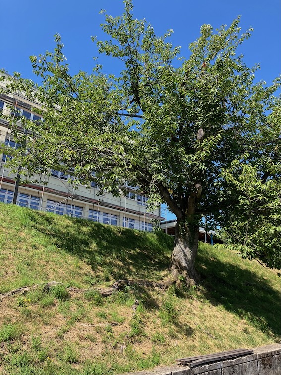Bildbeschreibung