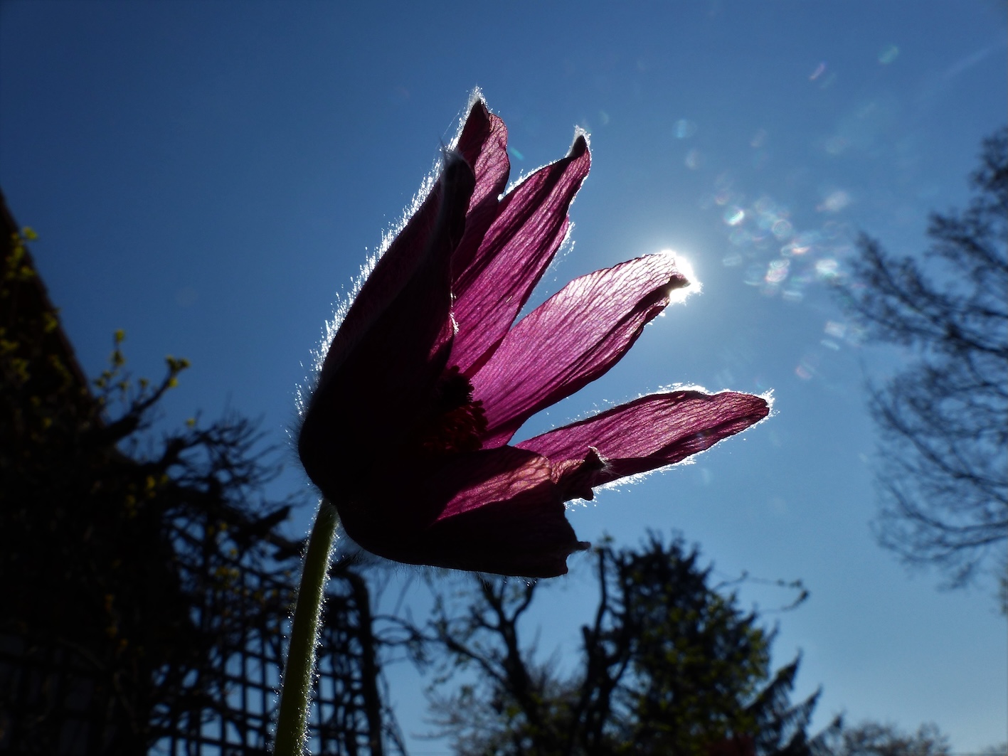 9c627a32ec76c0c24be0b3340d2a6d49