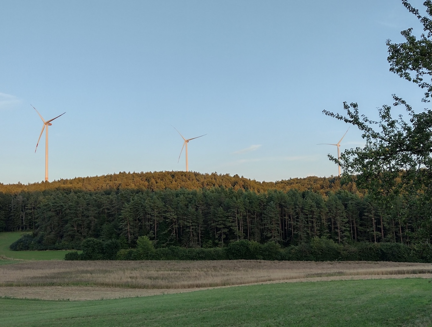 Bildbeschreibung