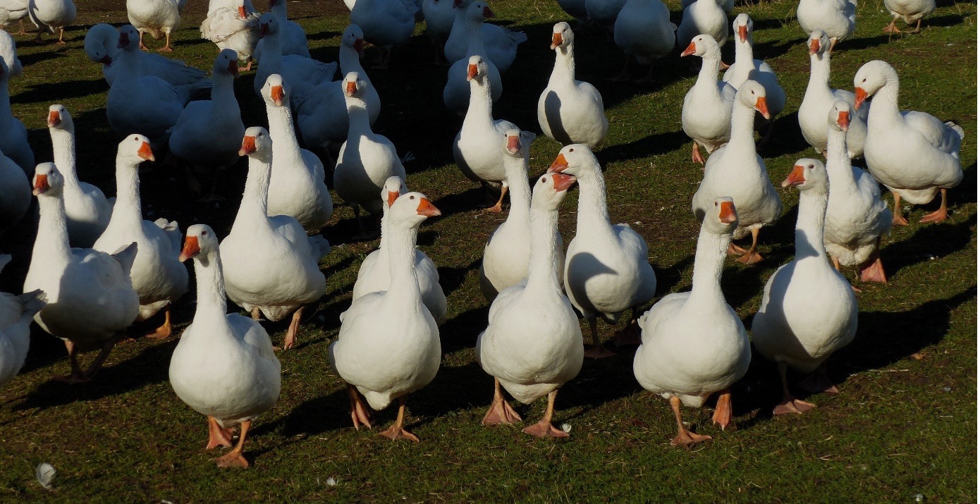 F53d0555cfdda109afa1b9a11f9ac5b3