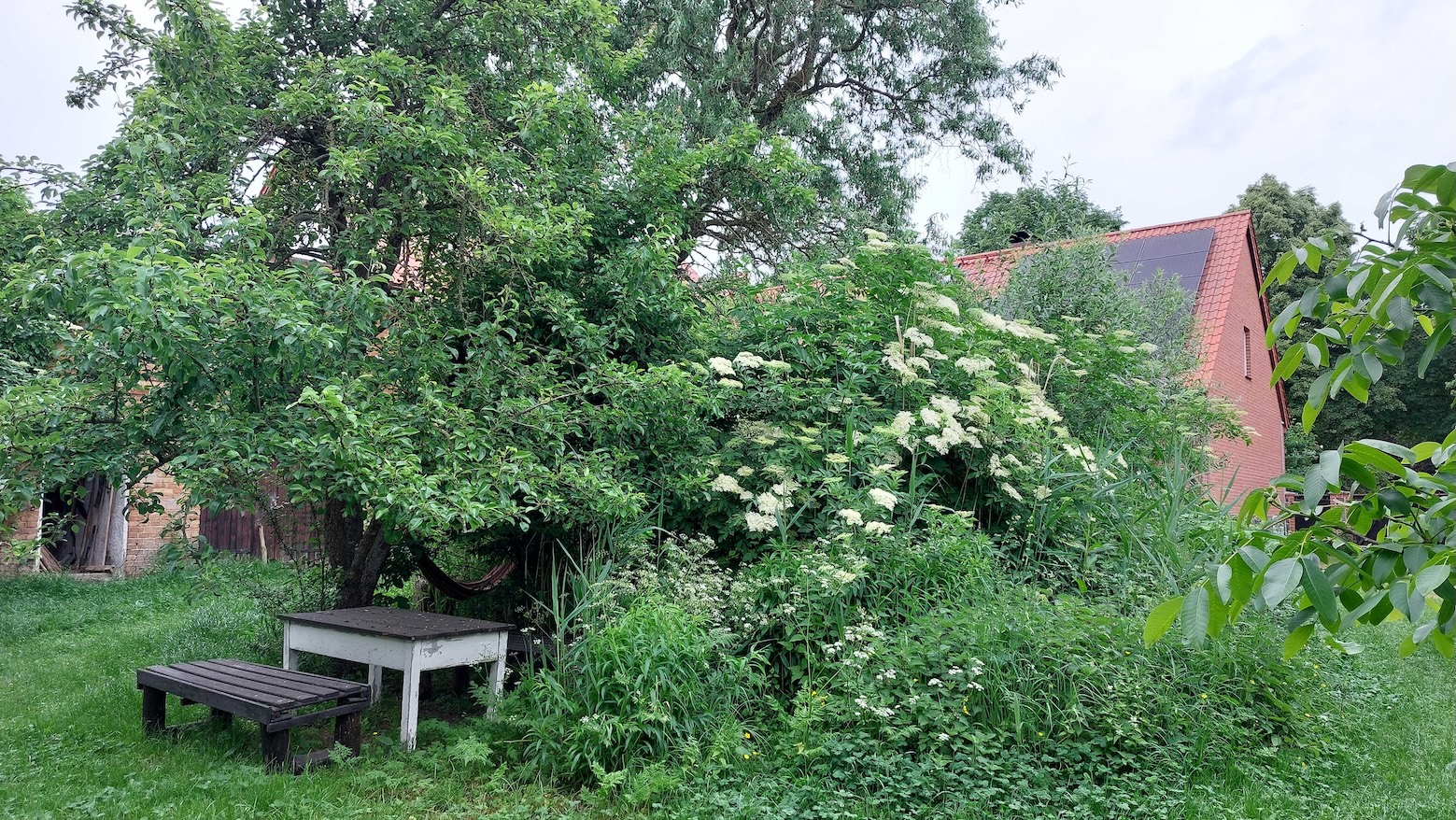Bildbeschreibung